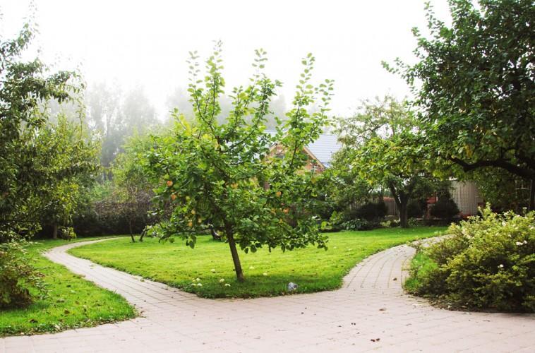 Apartamentai Obelyne Παλάγκα Εξωτερικό φωτογραφία