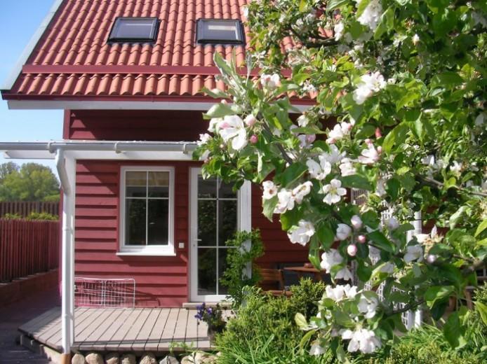 Apartamentai Obelyne Παλάγκα Εξωτερικό φωτογραφία